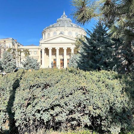 2Rooms Apartment Calea Victoriei - Atheneum Bukarest Eksteriør billede